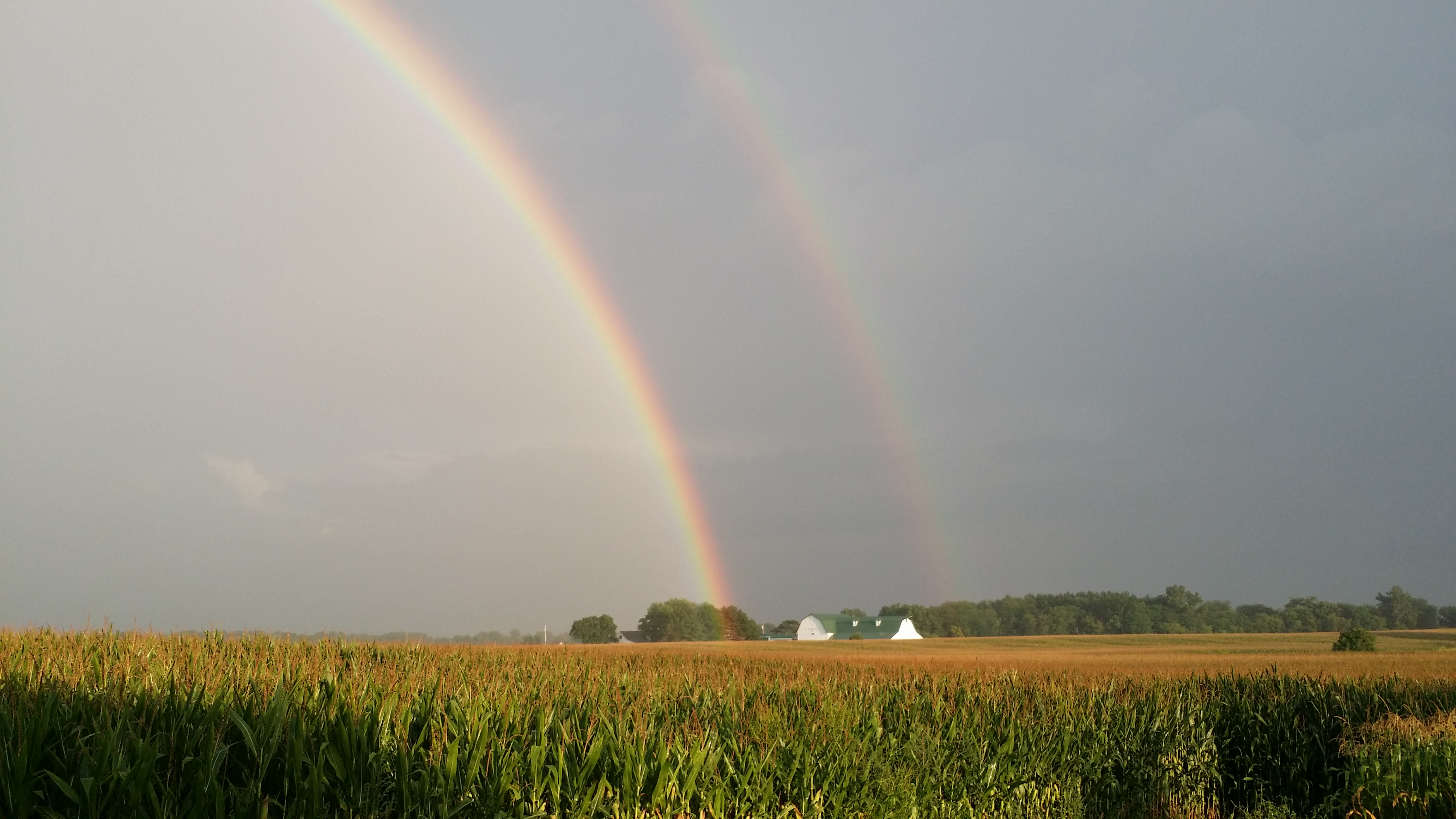 2016 08 17 016 Saneholtz Rainbow