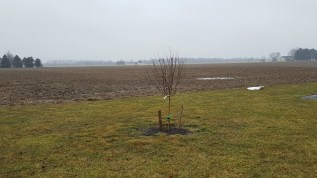 2020 03 02 101801 Sprinter Blech